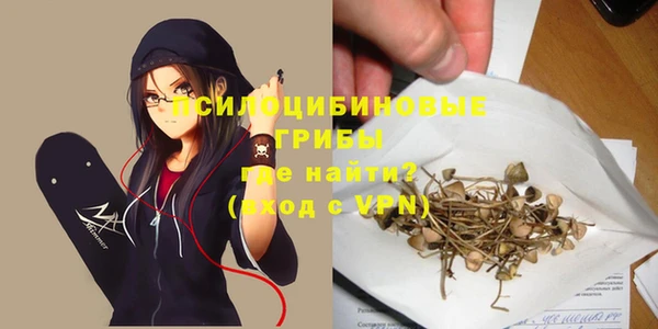 ПСИЛОЦИБИНОВЫЕ ГРИБЫ Аркадак