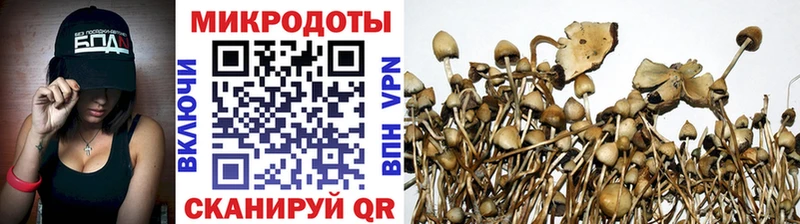 Купить где  Новомосковск  Галлюциногенные грибы GOLDEN TEACHER 